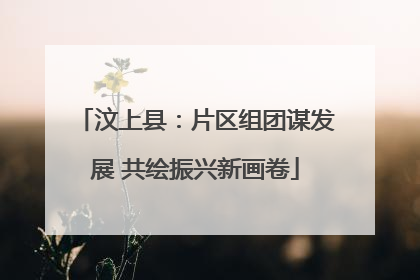 汶上县：片区组团谋发展 共绘振兴新画卷