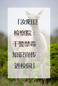 汝阳县检察院：干警禁毒知识宣传进校园