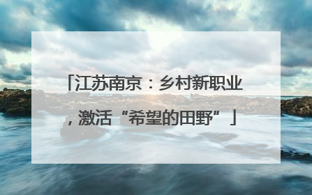 江苏南京：乡村新职业，激活“希望的田野”