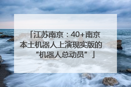 江苏南京：40+南京本土机器人上演现实版的“机器人总动员”