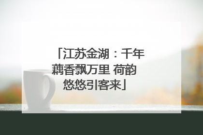 江苏金湖：千年藕香飘万里 荷韵悠悠引客来