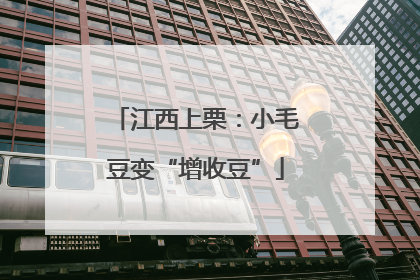 江西上栗：小毛豆变“增收豆”