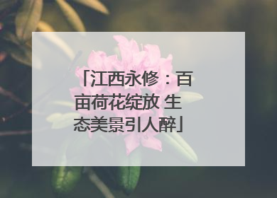 江西永修：百亩荷花绽放 生态美景引人醉