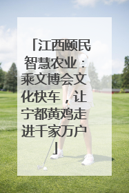 江西颐民智慧农业：乘文博会文化快车，让宁都黄鸡走进千家万户