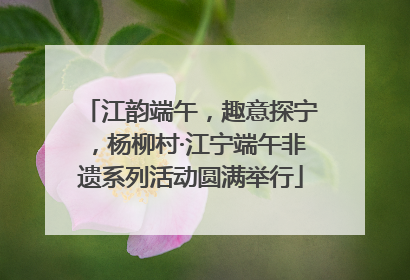 江韵端午，趣意探宁，杨柳村·江宁端午非遗系列活动圆满举行