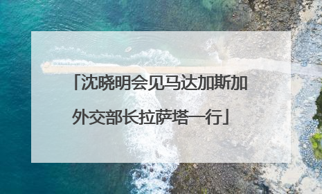 沈晓明会见马达加斯加外交部长拉萨塔一行