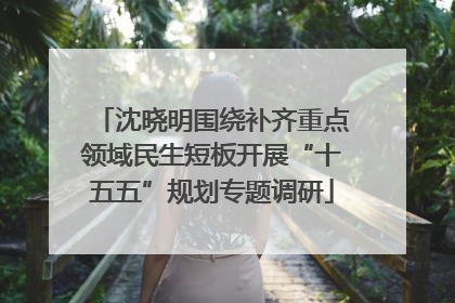 沈晓明围绕补齐重点领域民生短板开展“十五五”规划专题调研