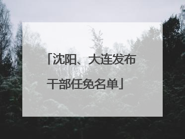 沈阳、大连发布干部任免名单