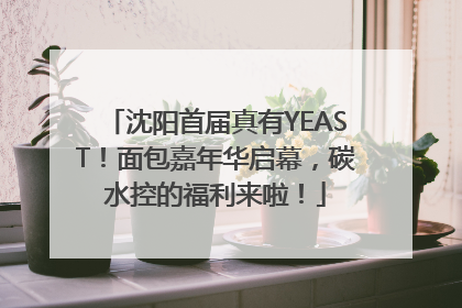 沈阳首届真有YEAST！面包嘉年华启幕，碳水控的福利来啦！