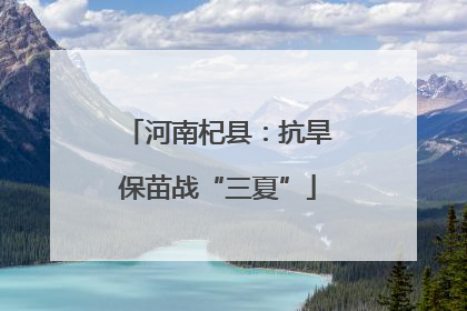 河南杞县：抗旱保苗战“三夏”