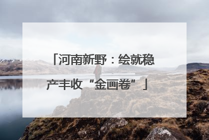 河南新野：绘就稳产丰收“金画卷”