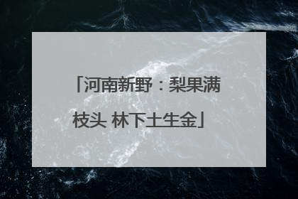 河南新野：梨果满枝头 林下土生金