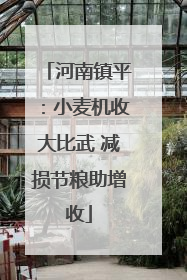 河南镇平：小麦机收大比武 减损节粮助增收