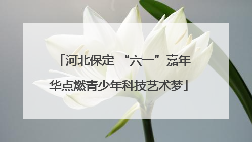 河北保定 “六一”嘉年华点燃青少年科技艺术梦