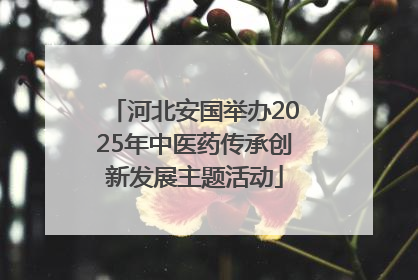 河北安国举办2025年中医药传承创新发展主题活动