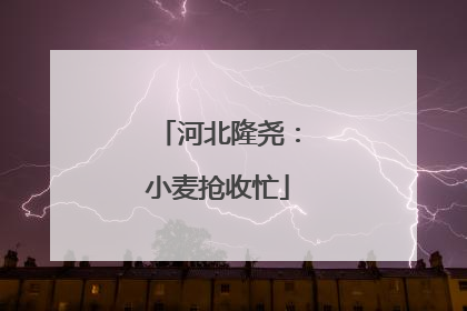 河北隆尧：小麦抢收忙
