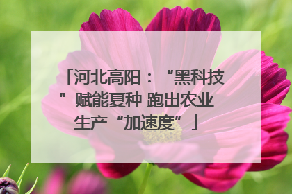 河北高阳：“黑科技”赋能夏种 跑出农业生产“加速度”