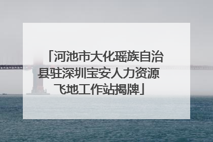 河池市大化瑶族自治县驻深圳宝安人力资源飞地工作站揭牌