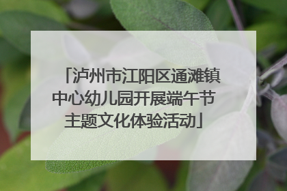 泸州市江阳区通滩镇中心幼儿园开展端午节主题文化体验活动