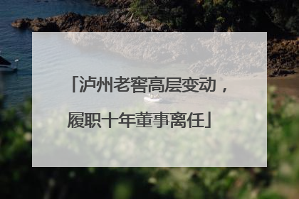泸州老窖高层变动，履职十年董事离任