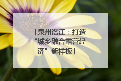泉州洛江：打造“城乡融合露营经济”新样板