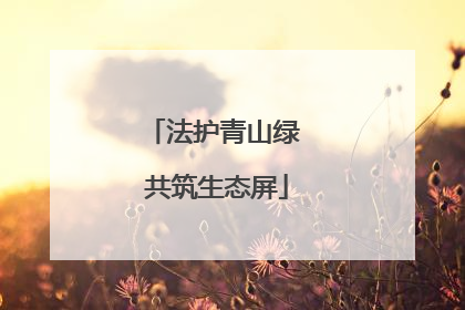 法护青山绿 共筑生态屏