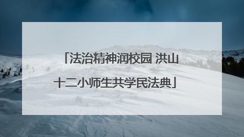 法治精神润校园 洪山十二小师生共学民法典