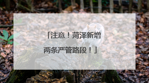 注意！菏泽新增两条严管路段！