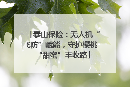 泰山保险：无人机“飞防”赋能，守护樱桃“甜蜜”丰收路