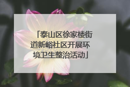 泰山区徐家楼街道新峪社区开展环境卫生整治活动