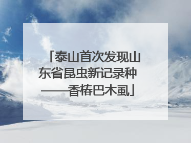 泰山首次发现山东省昆虫新记录种——香椿巴木虱
