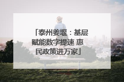泰州姜堰：基层赋能数字提速 惠民政策进万家