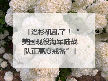 洛杉矶乱了！“美国现役海军陆战队正高度戒备”