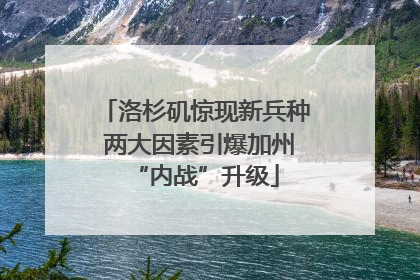 洛杉矶惊现新兵种 两大因素引爆加州“内战”升级