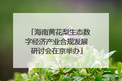 海南黄花梨生态数字经济产业合规发展研讨会在京举办