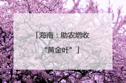 海南：助农增收 “黄金叶”