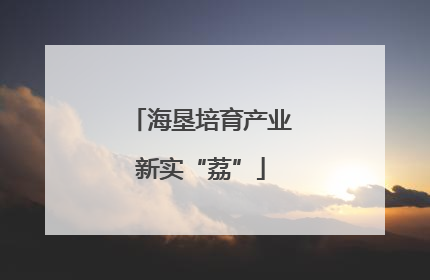 海垦培育产业新实“荔”