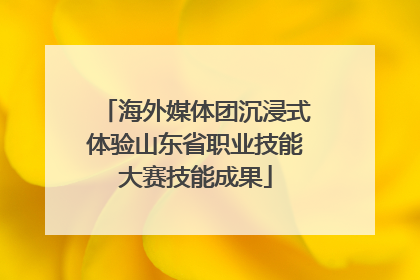 海外媒体团沉浸式体验山东省职业技能大赛技能成果