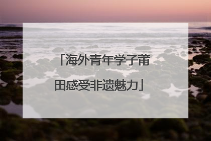 海外青年学子莆田感受非遗魅力