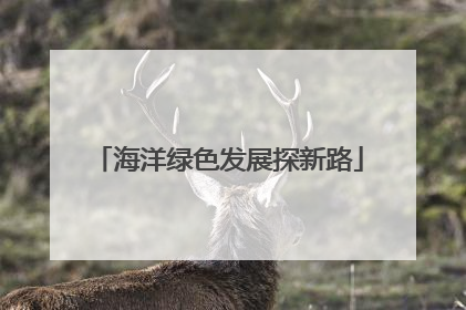 海洋绿色发展探新路