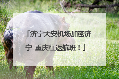 济宁大安机场加密济宁-重庆往返航班！