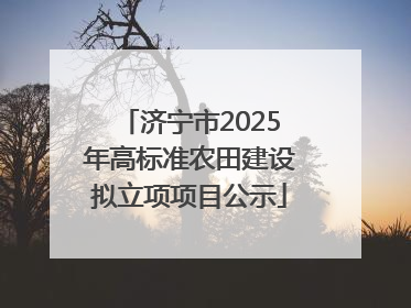 济宁市2025年高标准农田建设拟立项项目公示