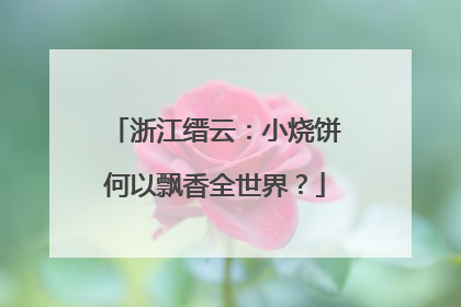 浙江缙云：小烧饼何以飘香全世界？