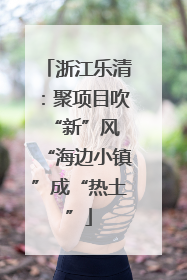 浙江乐清：聚项目吹“新”风 “海边小镇”成“热土”