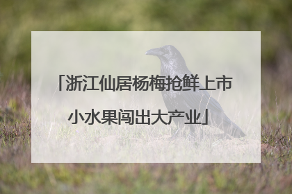 浙江仙居杨梅抢鲜上市 小水果闯出大产业