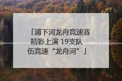 浦下河龙舟竞速赛精彩上演 19支队伍竞速“龙舟河”