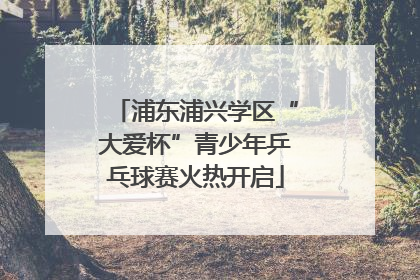 浦东浦兴学区“大爱杯”青少年乒乓球赛火热开启