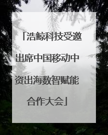 浩鲸科技受邀出席中国移动中资出海数智赋能合作大会