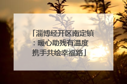 淄博经开区南定镇：暖心助残有温度 携手共绘幸福路