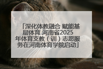 深化体教融合 赋能基层体育 河南省2025年体育支教（训）志愿服务在河南体育学院启动